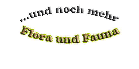Flora und Fauna
